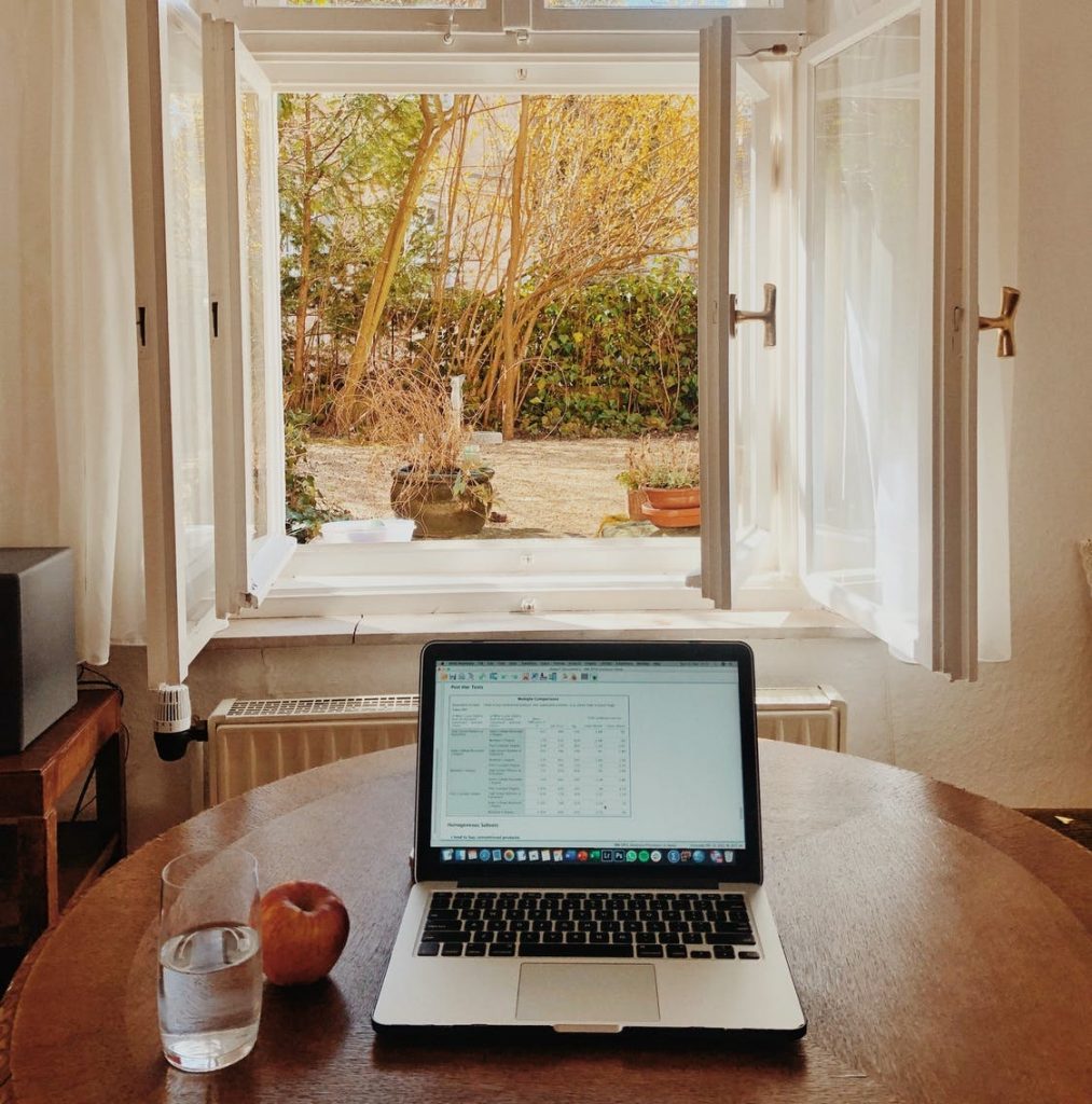 remote working by a window