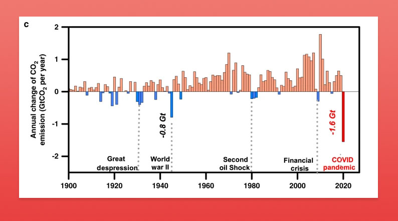 How were Carbon emission in 2020 sustainability research 